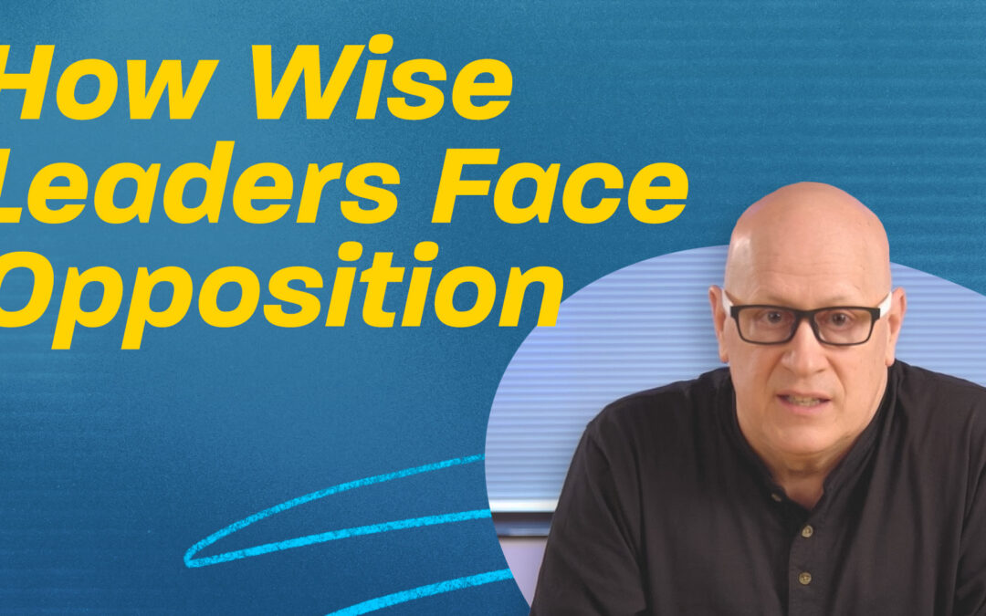 How Wise Leaders Face Opposition