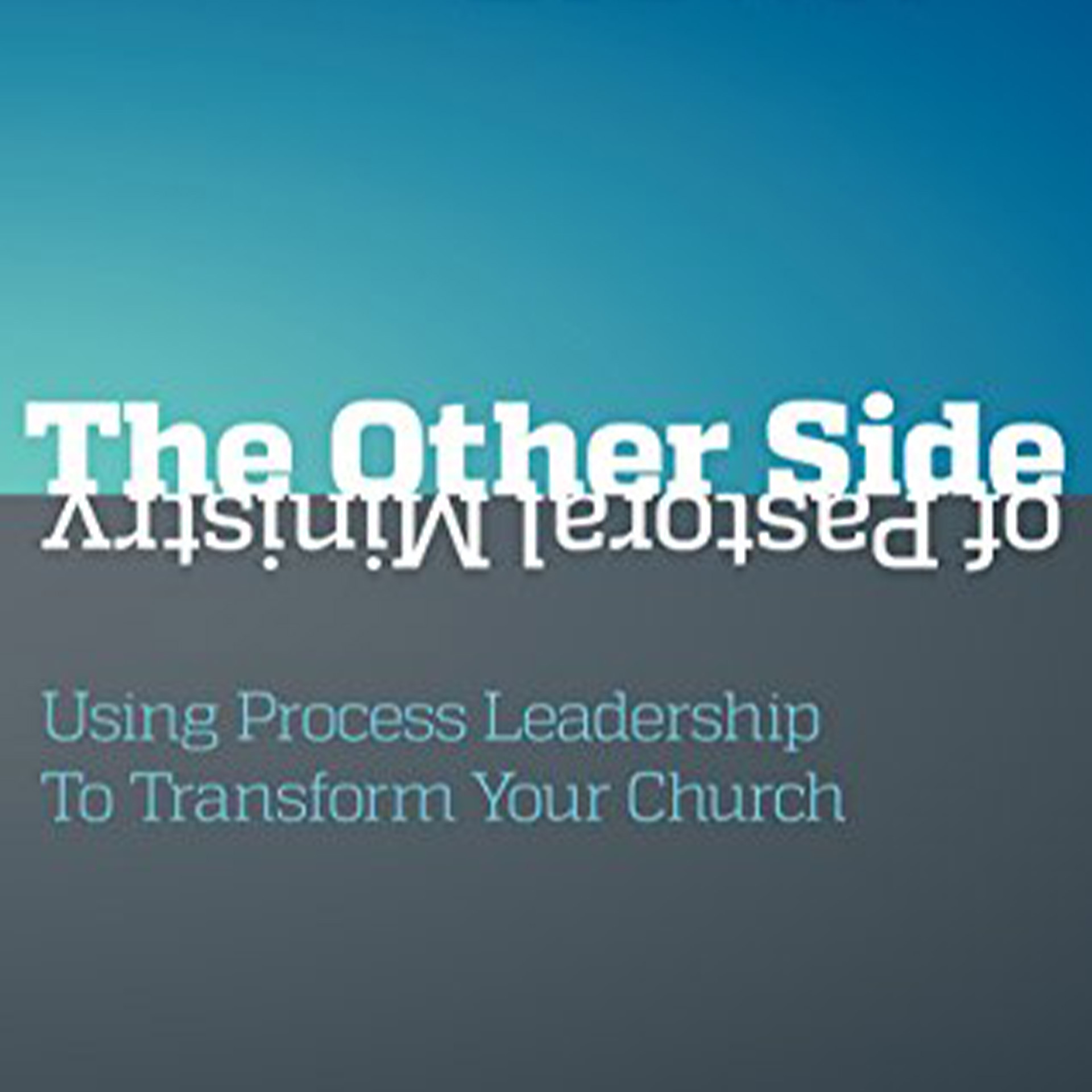 The Other Side of Pastoral Ministry by Daniel Brown