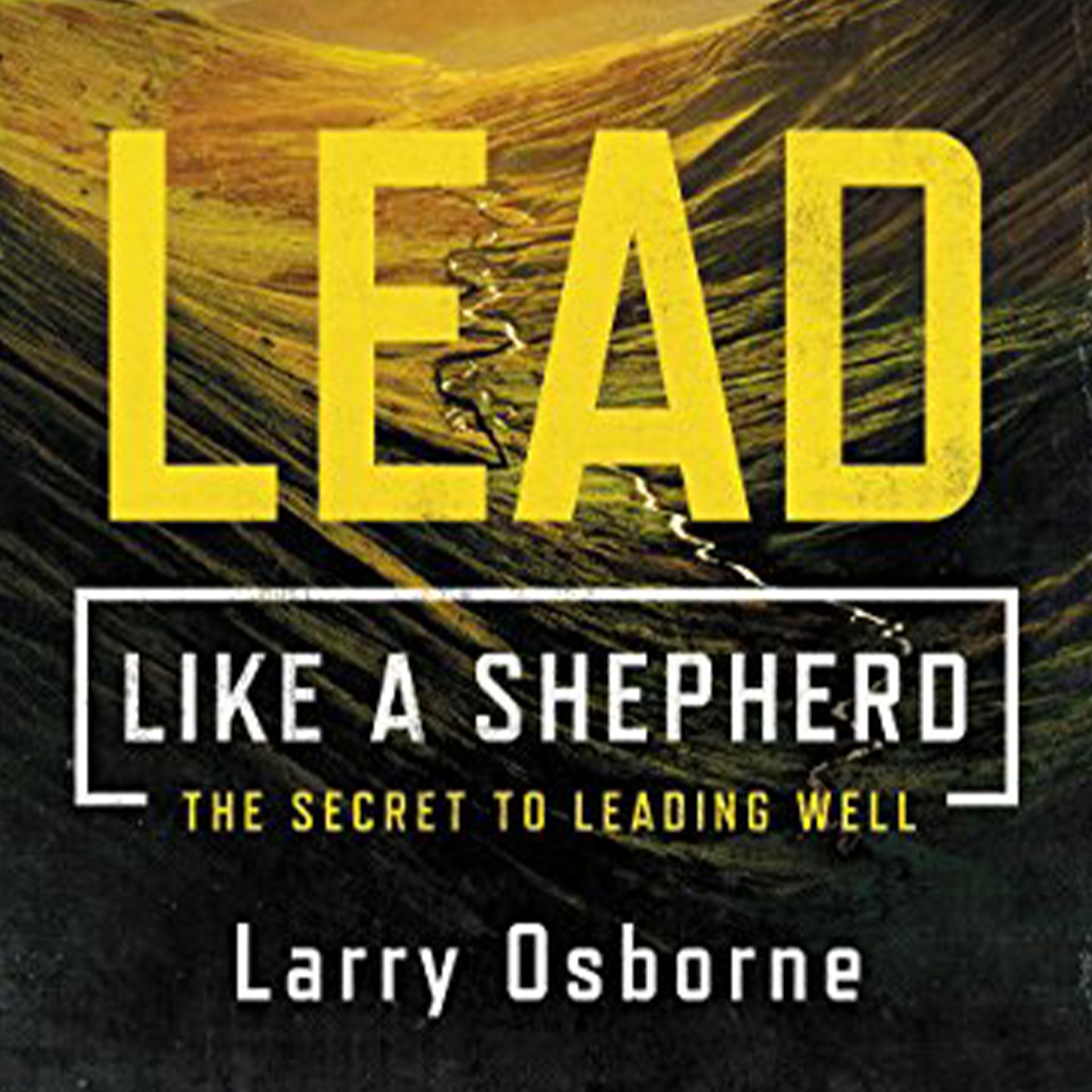Lead Like a Shepherd by Larry Osborne