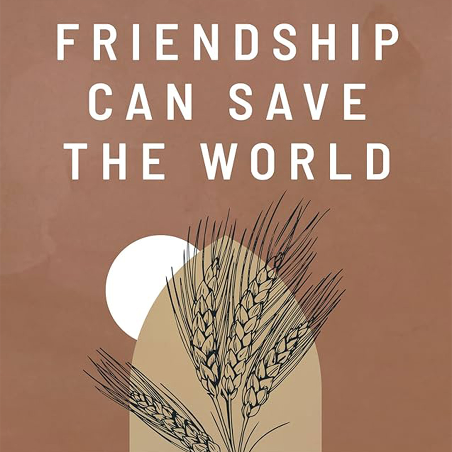 Friendship Can Save the World by Carrie and Morgan Stephens