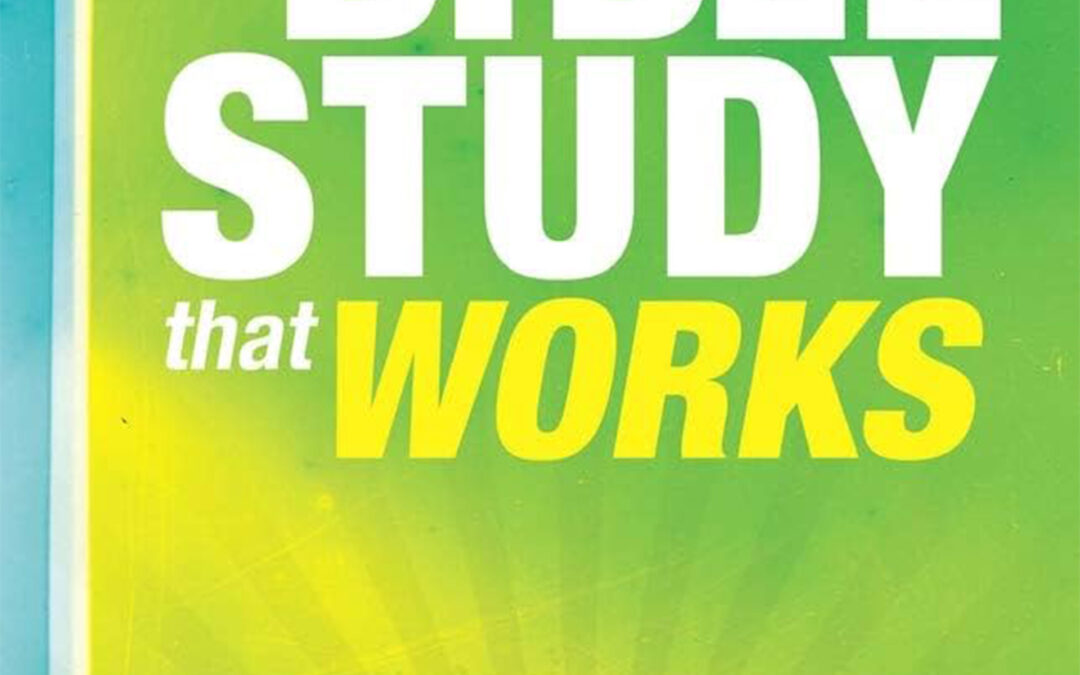 Bible Study that Works by David Thompson