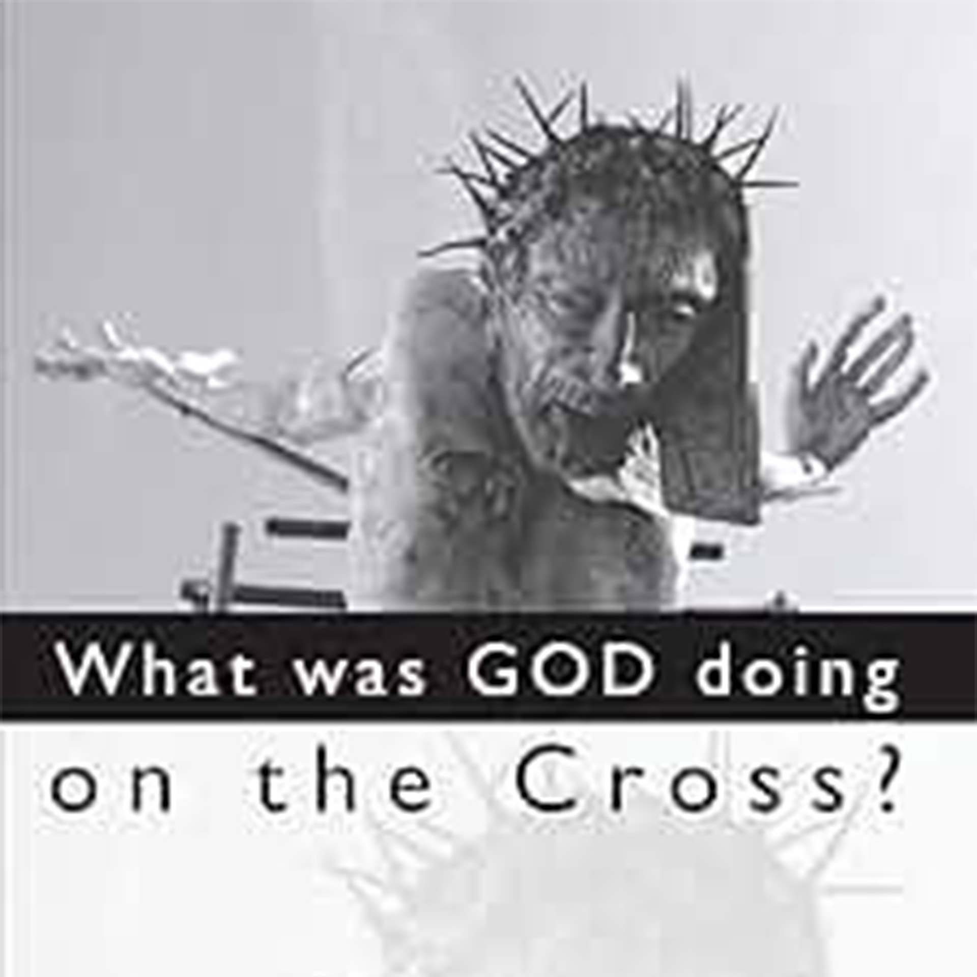 What Was God Doing on the Cross? by Alister McGrath